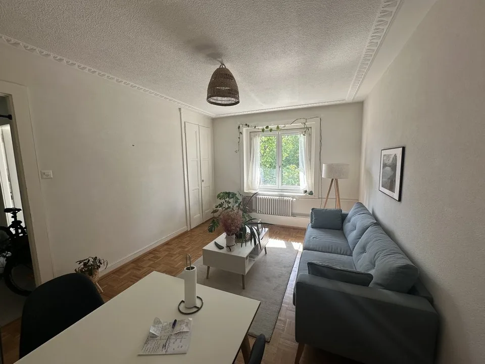 Schönes 2-Zimmer-Apartment in der Nähe des Platzes von l'Ours
