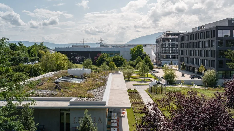 A louer, surfaces semi industriel à Meyrin au sein du campus The Hive.