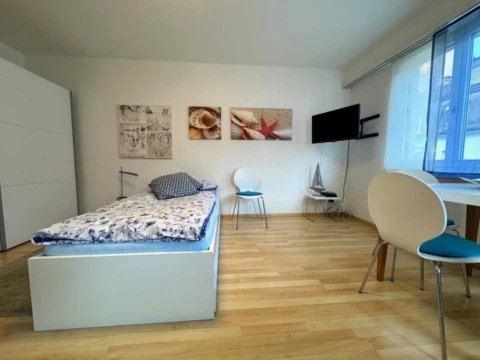 attraktive möblierte und ausgestattete 1-Zimmerwohnung