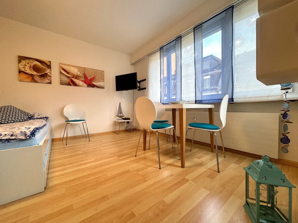 Attractive furnished and equipped 1-room apartment