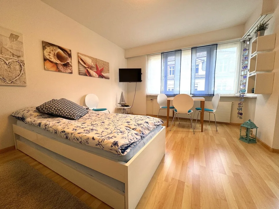 Attractive furnished and equipped 1-room apartment