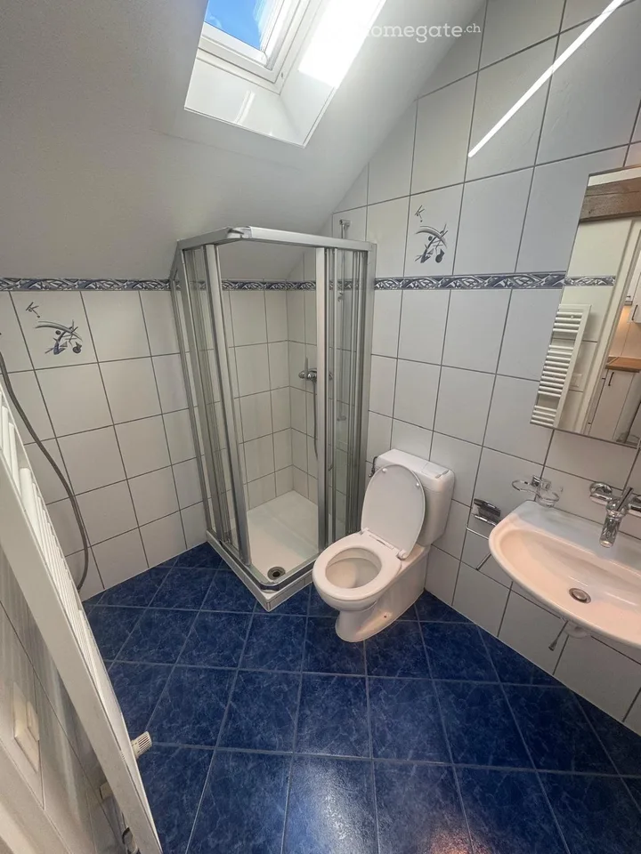 1.5 room attic apartment