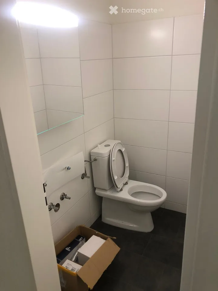 Appartement de 4,5 pièces rénové avec balcon