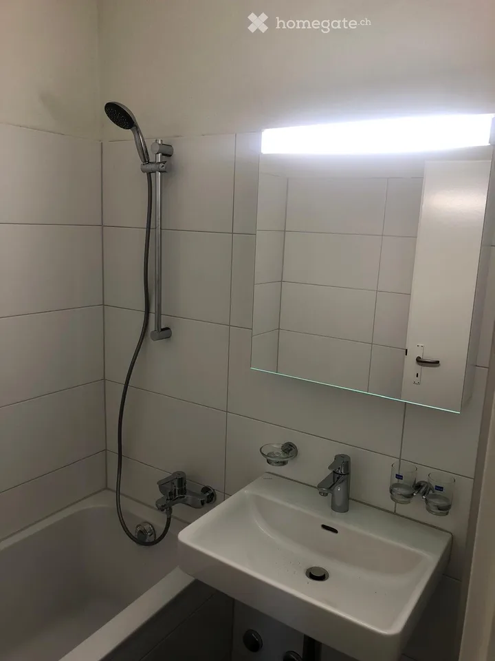Appartement de 4,5 pièces rénové avec balcon