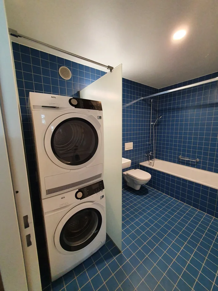 hochwertiges Atelier im Bâleo Erlenmatt – Foto 6 von 6