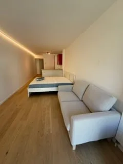 Chic, quiet, cool, renovated and furnished studio with garden for rent