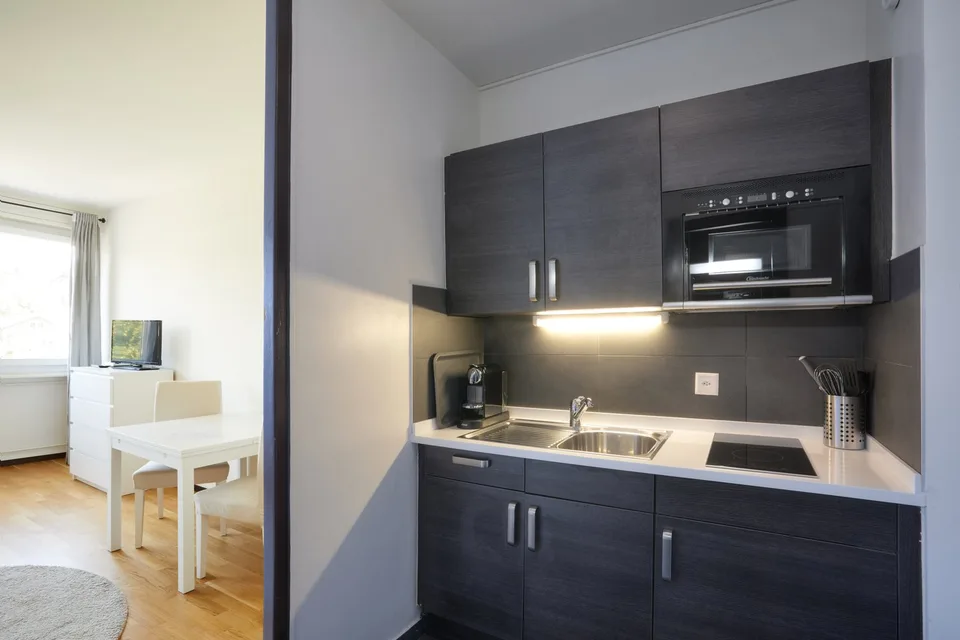 Studio meublé - Genève (Plainpalais)