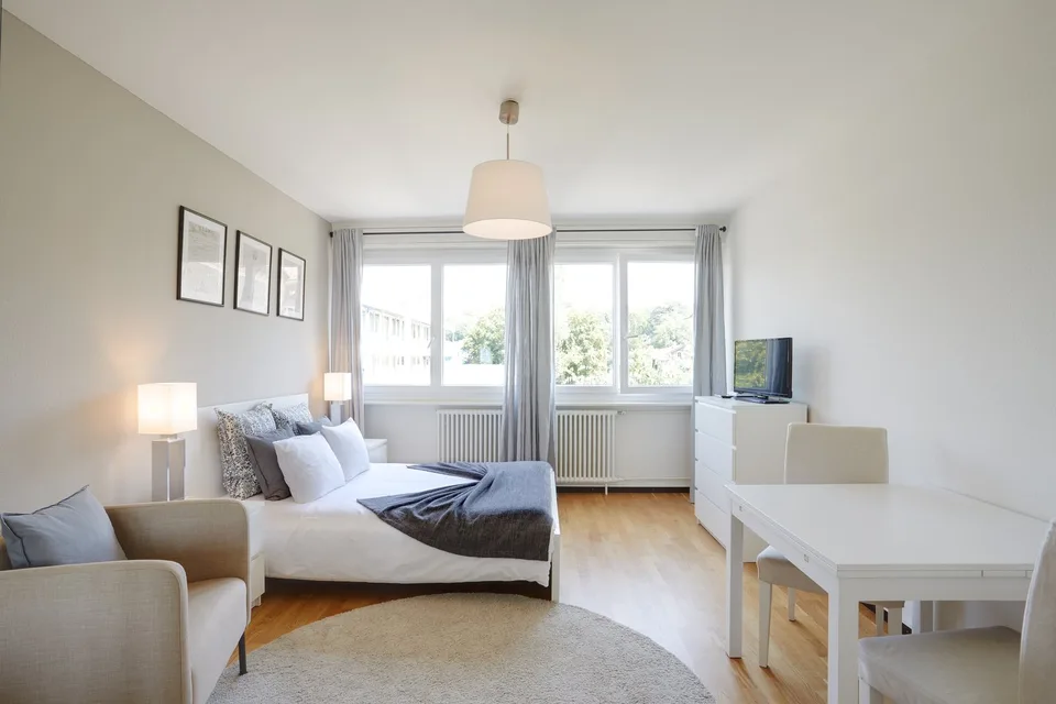 furnished Studio - Geneva (Plainpalais)