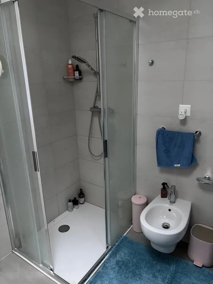 Geräumige 4-Zimmer-Wohnung mit See- und Bergblick in Riva San Vitale