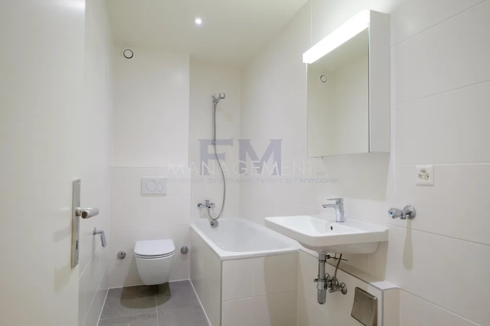 Servette, Avenue de Luserna, 4 Zimmer im 5. Stock, ca. 95m2 – Foto 6 von 13
