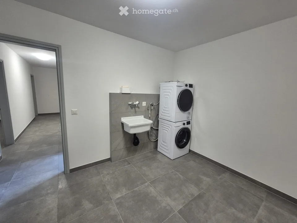 Completely renovated apartment