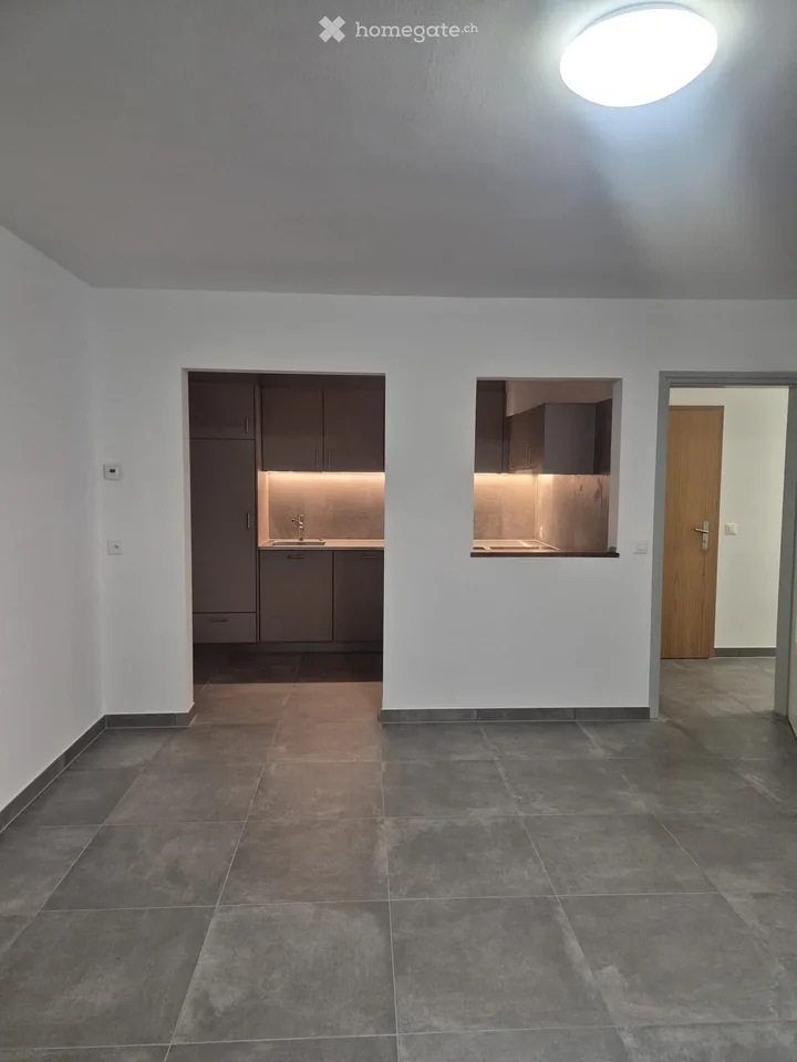 Completely renovated apartment