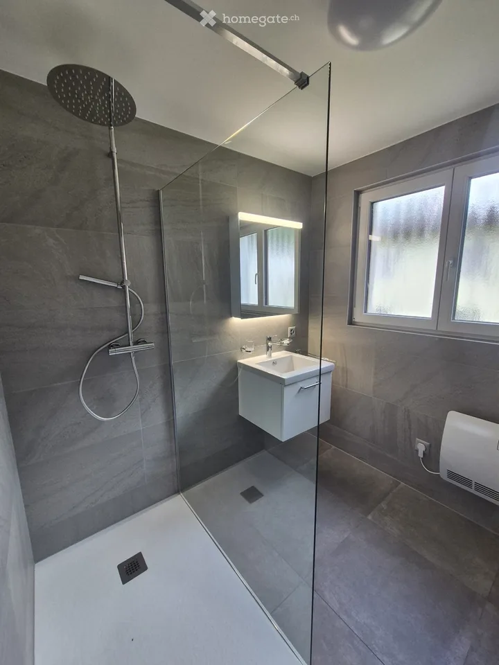 Completely renovated apartment