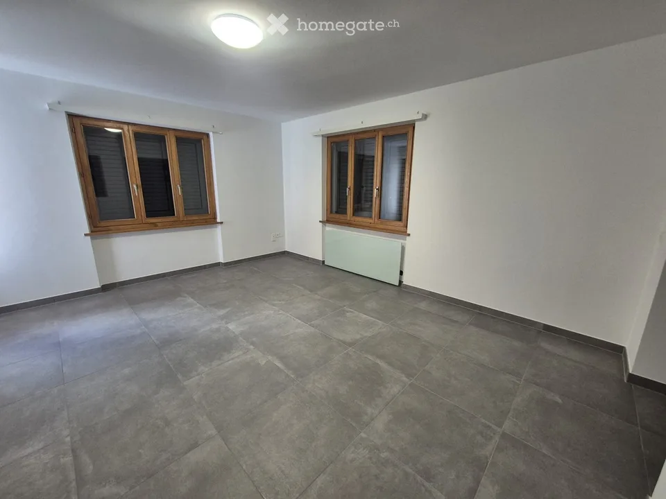 Completely renovated apartment