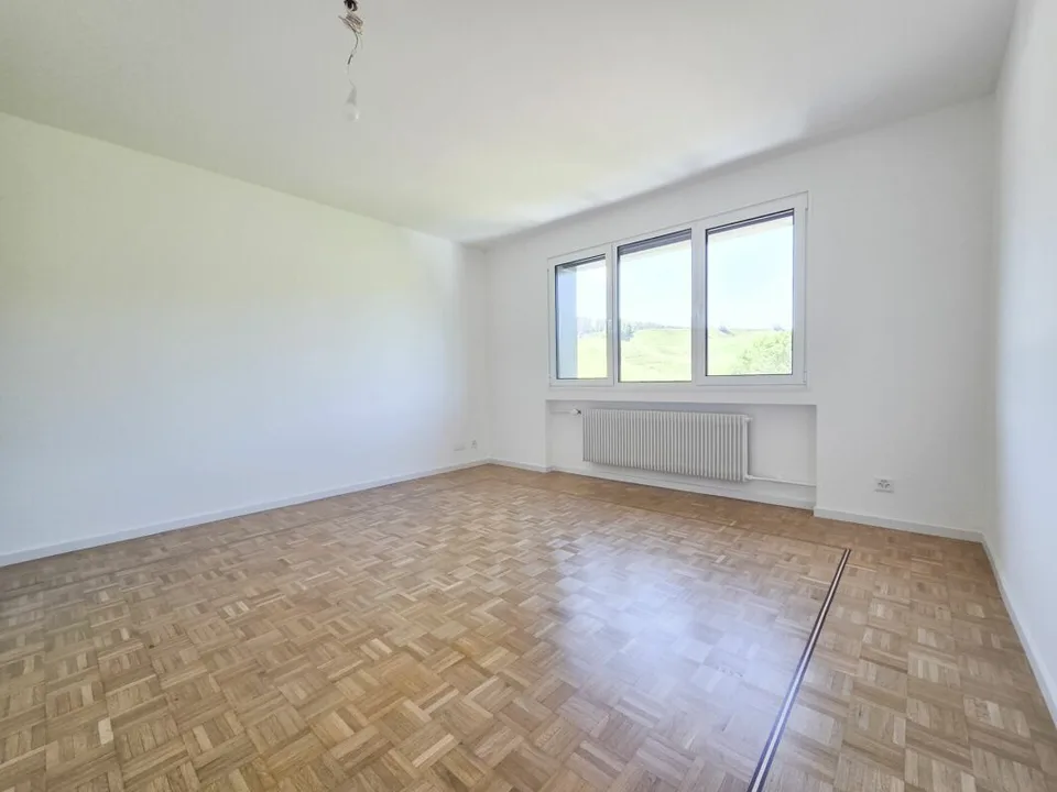 Vollständig renovierte 4.5-Zimmer-Wohnung