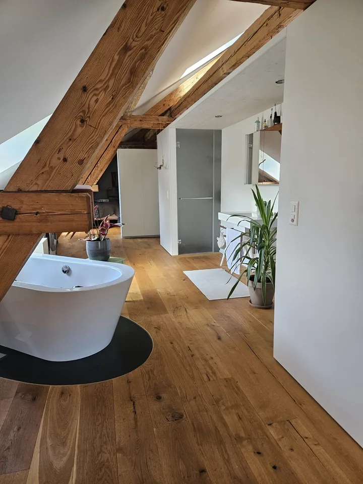Ampio appartamento loft in posizione centrale a Turbenthal