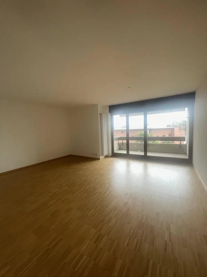 Renovierte 4.5-Zimmer-Wohnung in Massagno