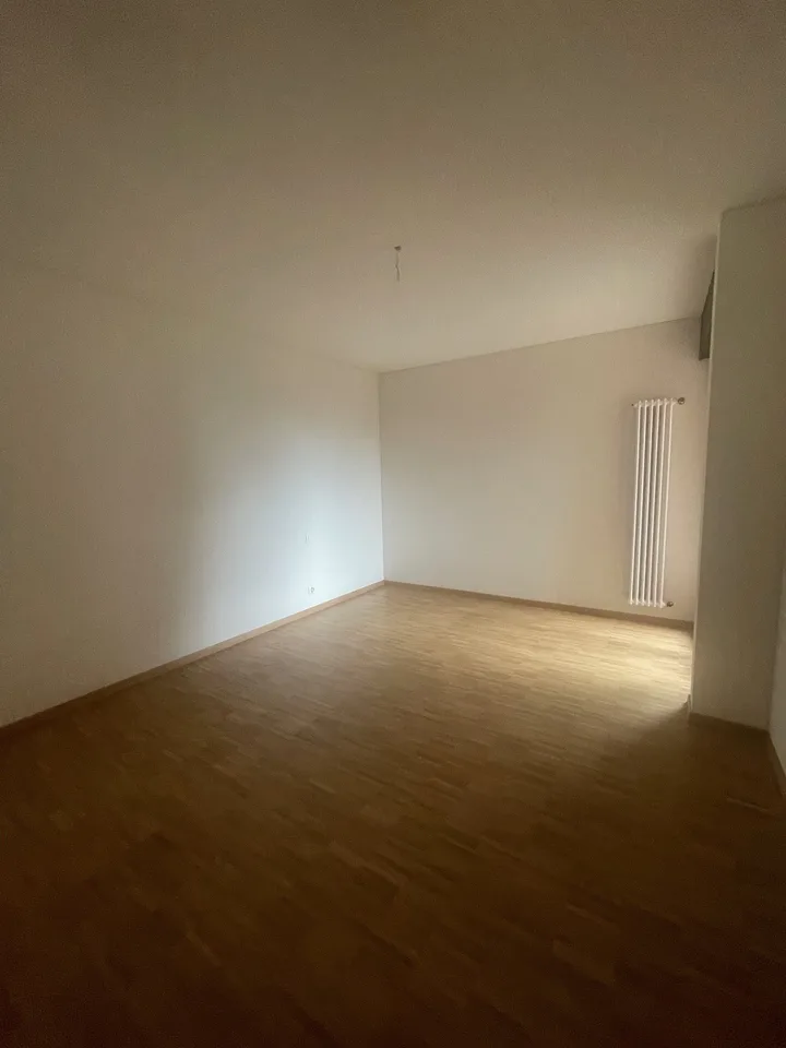 Renovierte 4.5-Zimmer-Wohnung in Massagno