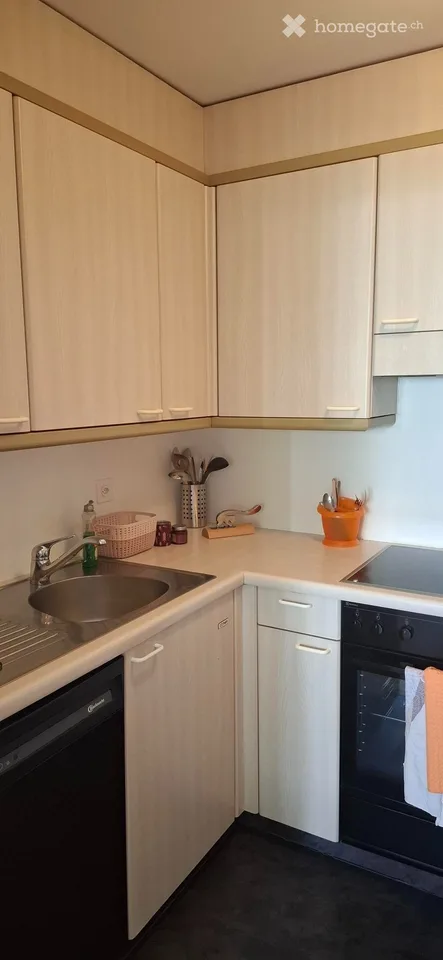 Appartement lumineux dans le Parco Maraini à Lugano