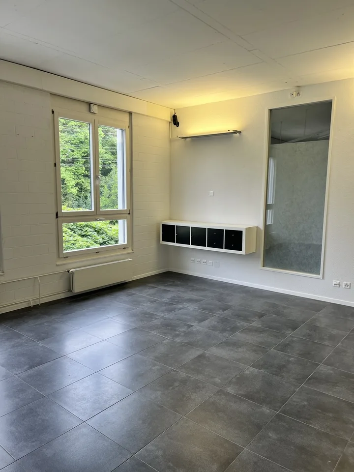 Spazio commerciale moderno in affitto a Niederlenz – foto 6 di 6