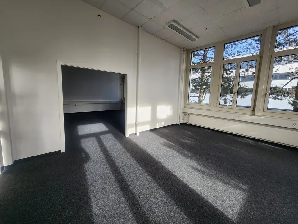 Salle blanche et espace industriel moderne de 392 m² à Neuchâtel – photo 28 sur 29