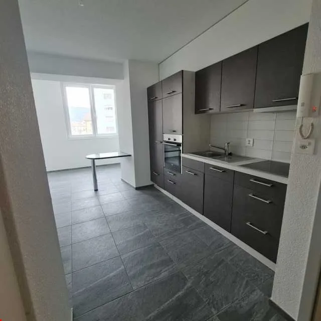 Wohnung im Erdgeschoss mit 2 Zimmern renoviert