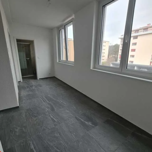 Wohnung im Erdgeschoss mit 2 Zimmern renoviert