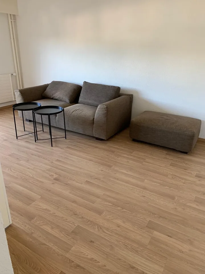 Incantevole appartamento arredato di 2,5 locali con balcone