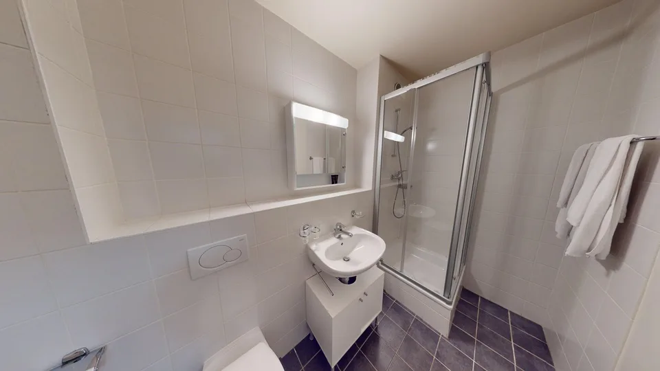 Modern Fully Furnished Studio near University of Geneva & HUG – photo 10 sur 10