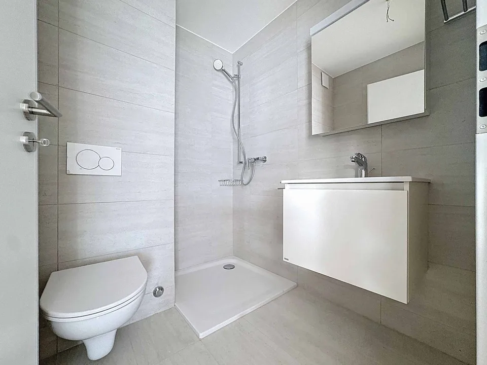 Lussuoso appartamento di 4.5 locali con terrazza e ascensore privato – foto 6 di 23