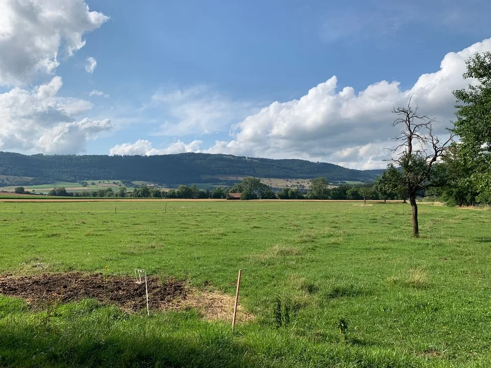Baugrundstück in der Nähe einer landwirtschaftlichen Zone