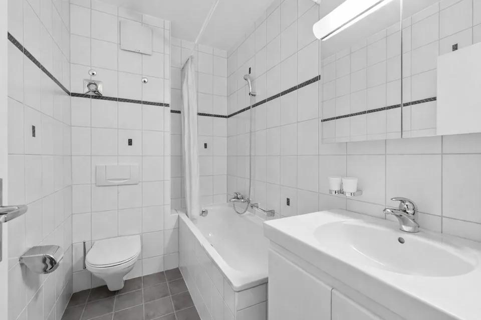 Investitori Ricercati Appartamento 5 Locali a Basilea – foto 6 di 13