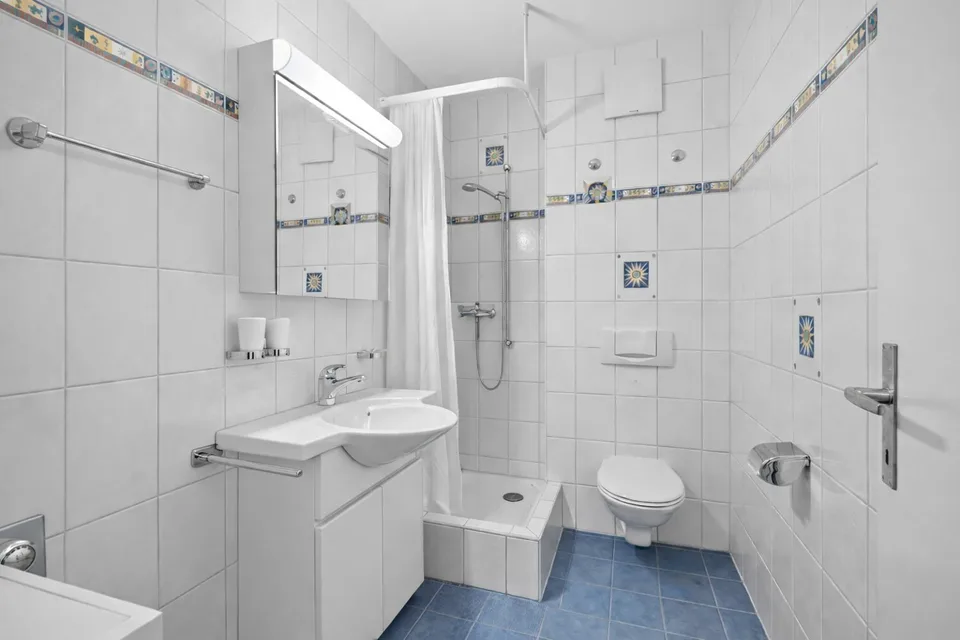 Investitori Ricercati Appartamento 5 Locali a Basilea