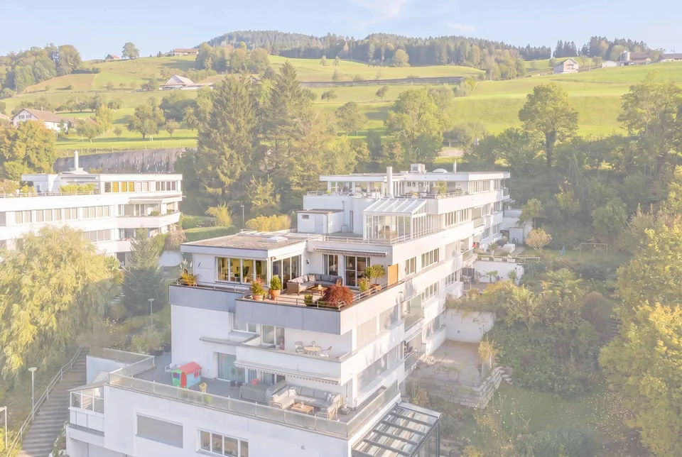 EXKLUSIV SANIERTES TERRASSENOBJEKT IN DIERIKON