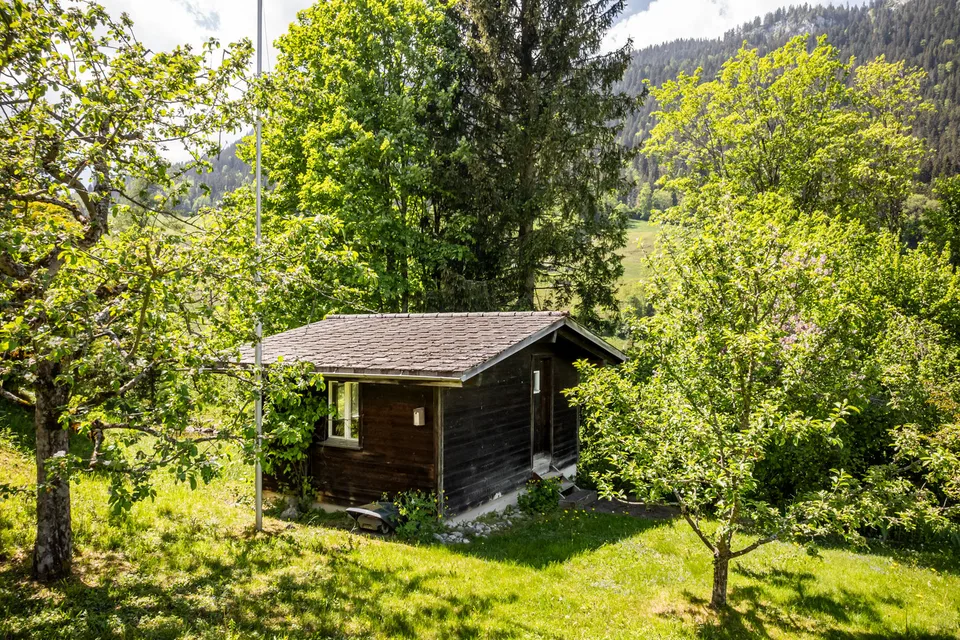 Einmaliges Architektenhaus auf grosszügiger Parzelle in Zweisimmen zu verkaufen