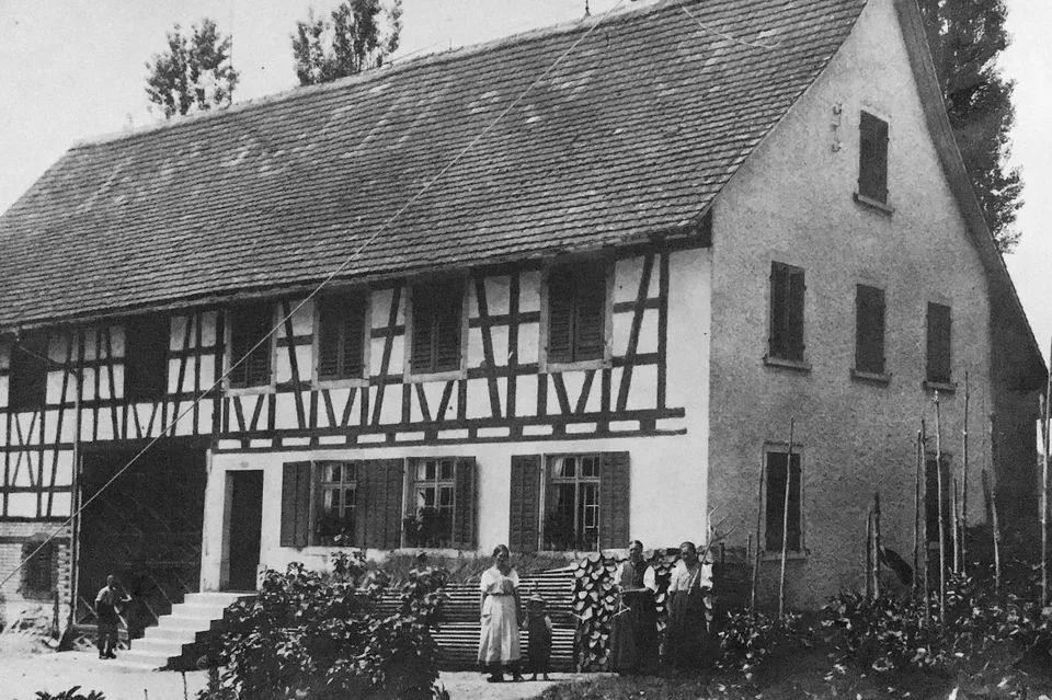 Azienda agricola con casa colonica, diversi edifici economici e terra di prato, con molto potenziale