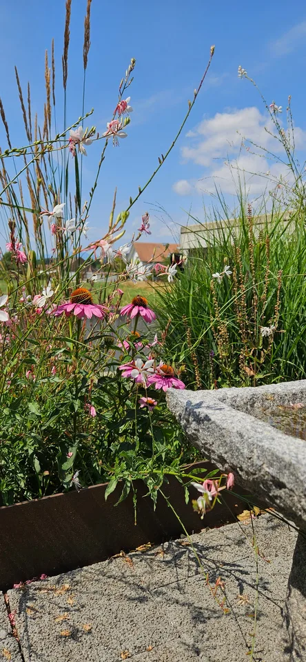 Appartement de charpente exclusif de 5,5 pièces avec vue sur le lac – photo 12 sur 12