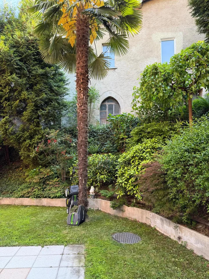 3.5-room apartment with garden in Manno