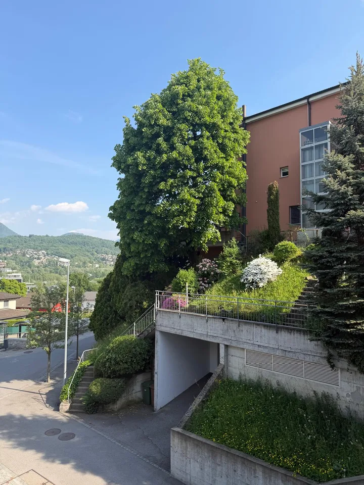 3.5-room apartment with garden in Manno