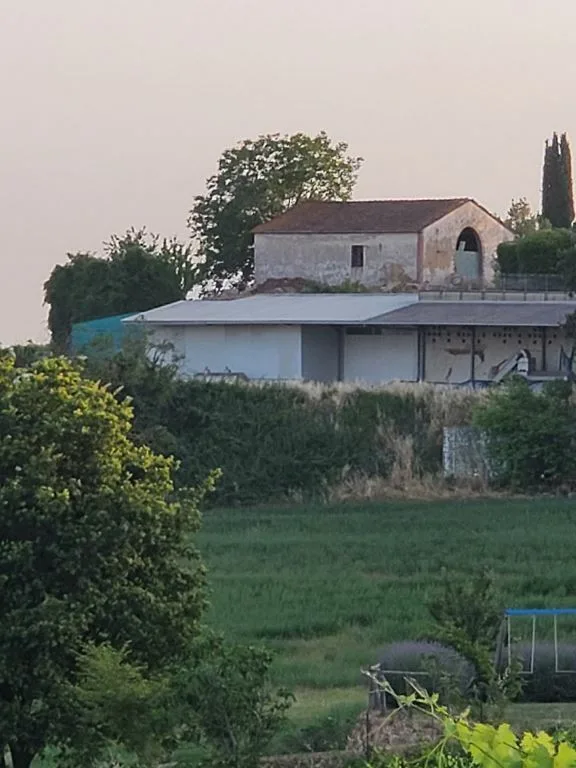 Vigneti di ca. 500 ettari con Ulivi, Bosco con Tartufi in Chianti – foto 6 di 13