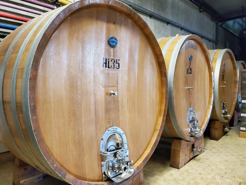 Vigneti di ca. 500 ettari con Ulivi, Bosco con Tartufi in Chianti – foto 11 di 13