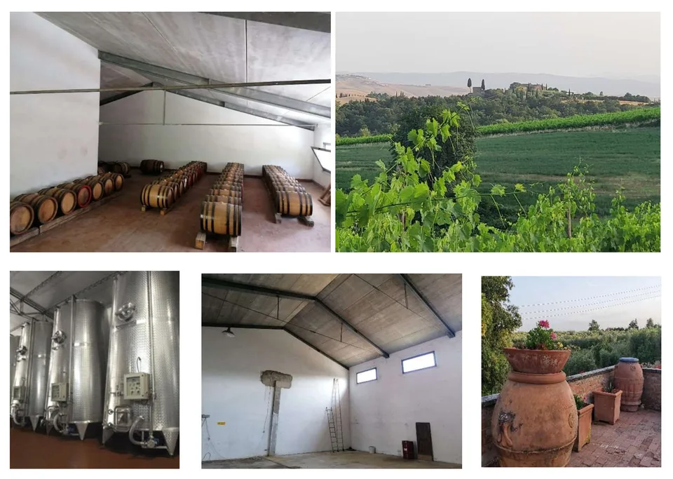 Vigneti di ca. 500 ettari con Ulivi, Bosco con Tartufi in Chianti – foto 8 di 13