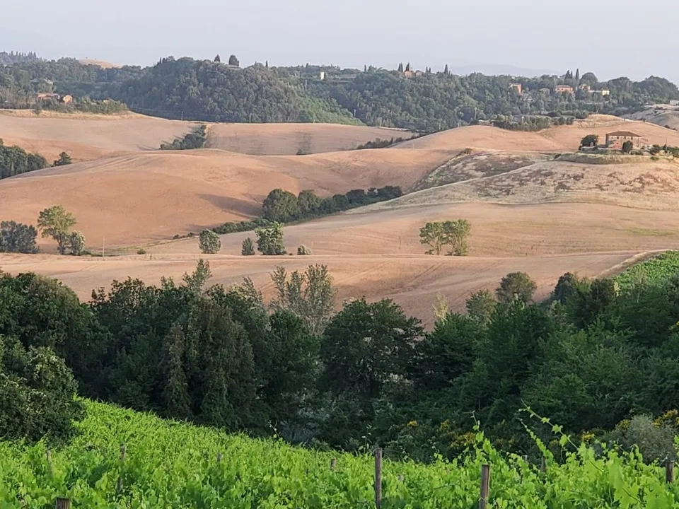 Vigneti di ca. 500 ettari con Ulivi, Bosco con Tartufi in Chianti