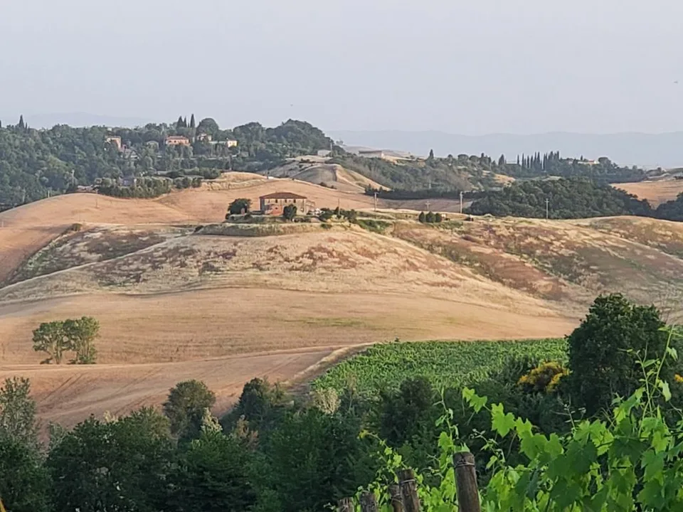 Vigneti di ca. 500 ettari con Ulivi, Bosco con Tartufi in Chianti