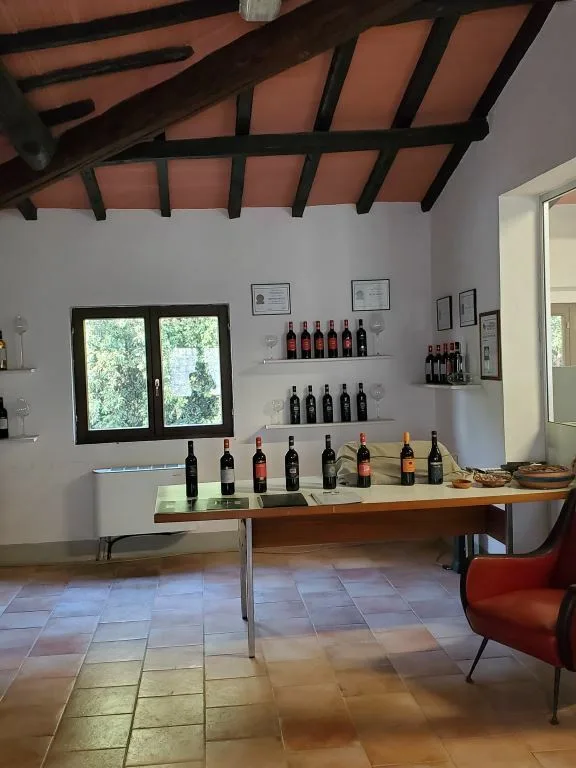 Vigneti di ca. 500 ettari con Ulivi, Bosco con Tartufi in Chianti – foto 13 di 13