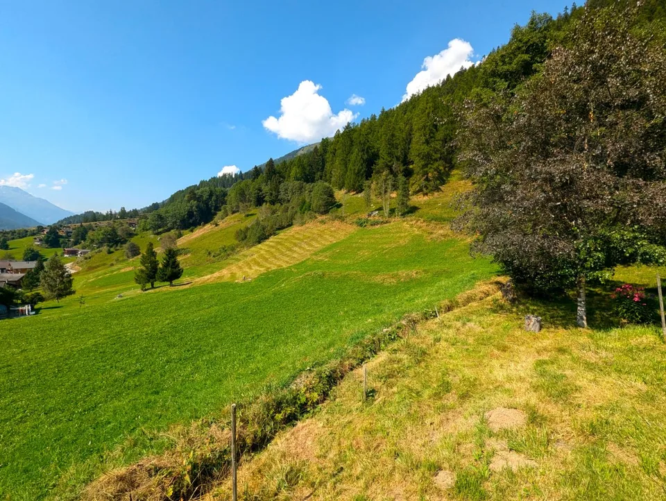 Unverbaubares Bauland am Waldesrand im Goms