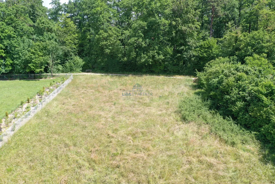 Exklusives Bauland mit Panorama - privilegierte Lage im Leimental