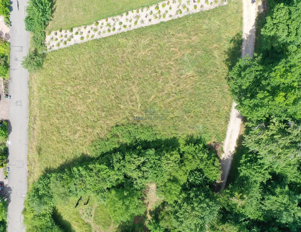 Exklusives Bauland mit Panorama - privilegierte Lage im Leimental
