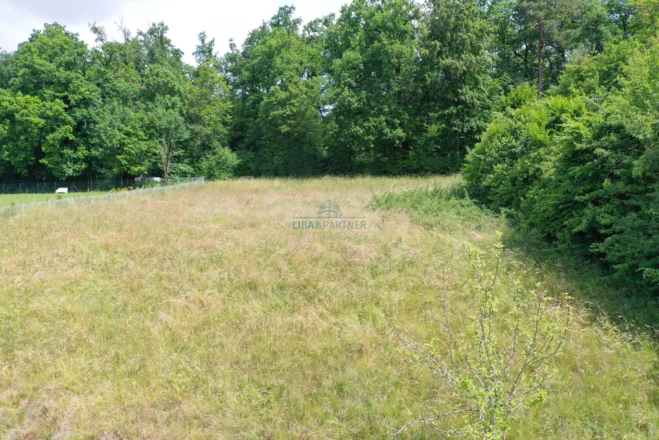 Exklusives Bauland mit Panorama - privilegierte Lage im Leimental