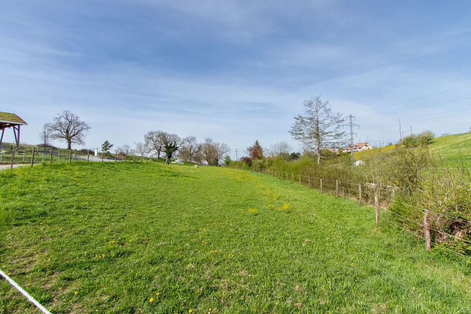 Baulandparzelle von 2'968 m2 In ländlichem Umfeld